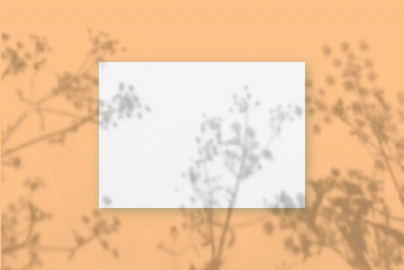 Natural light casts shadows from the plant on a rectangular sheet of white textured A4 paper lying on a beige textured background. Mockup.